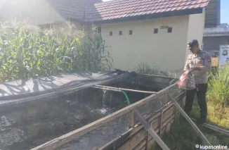 Dukung Program Presiden Prabowo, Polsek Indralaya Ambil Konkret Giat Pembesaran Ikan Lele