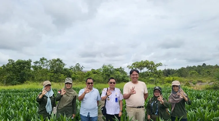 Dinas Perkebunan Kalimantan Tengah Tegaskan Pentingnya Pengawasan Kualitas Benih Kelapa Sawit