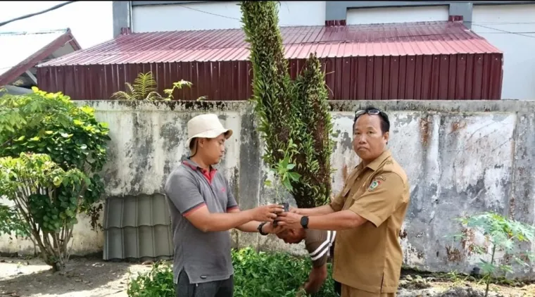 Dukung Ketahanan Iklim, Pemprov Kalteng Gerakkan PKK Kembangkan Pekarangan Produktif