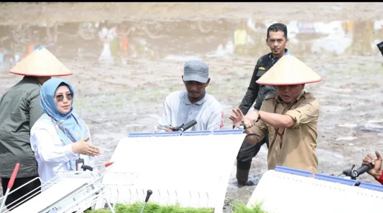 Pemprov Kalteng Perkuat Pertanian Modern Lewat Gerak Tanam Serentak Bersama Presiden