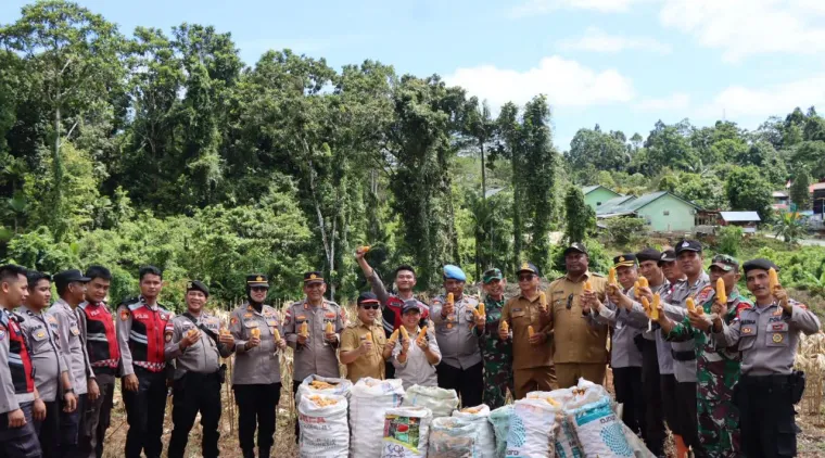 Polres Kepulauan Mentawai Dukung Program Ketahanan Pangan Melalui Panen Jagung yang Mencapai 3 ton di Desa Sipora Jaya