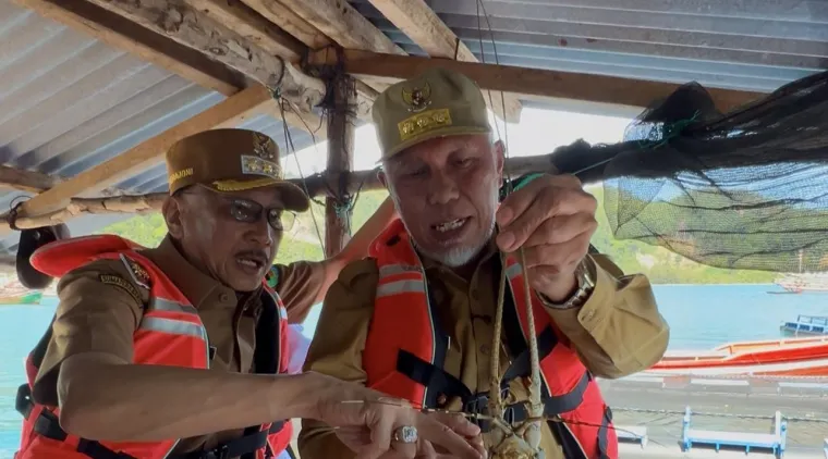 Sungai Bungin Pessel Berpotensi Jadi Sentra Budidaya Lobster dan Kerapu Unggulan