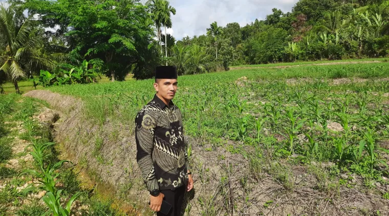 Pembina Bumnag Batang Campago Nagari Campago Zulhadi ketika ditengah hamparan jagung yang subur.