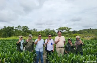 Dinas Perkebunan Kalimantan Tengah Tegaskan Pentingnya Pengawasan Kualitas Benih Kelapa Sawit