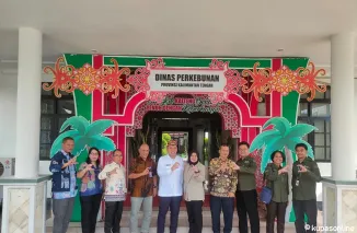 Dinas Perkebunan Kalteng Gandeng GFI untuk Tingkatkan Kualitas Kakao Lokal