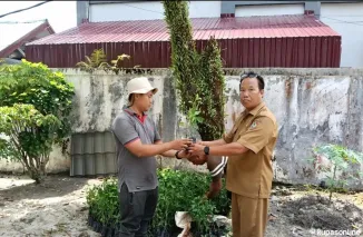 Dukung Ketahanan Iklim, Pemprov Kalteng Gerakkan PKK Kembangkan Pekarangan Produktif