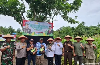 Panen Jagung Serentak Jadi Bukti Kuat Sinergi Pusat dan Daerah Wujudkan Ketahanan Pangan