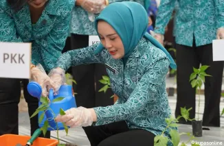 Pemprov Kalteng Dorong Ketahanan Pangan Keluarga Lewat Program Pemanfaatan Pekarangan