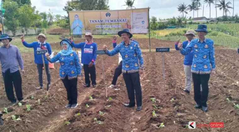 Bupati Blitar bersama dinas terkait saat penanaman tembakau 2024 di Desa Bendosari Kec Kademangan