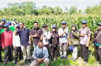 Kelompok yani dan perwakilan PPL dan Dispertan Kab Blitar meninjau Demplot Jagung Proklamator