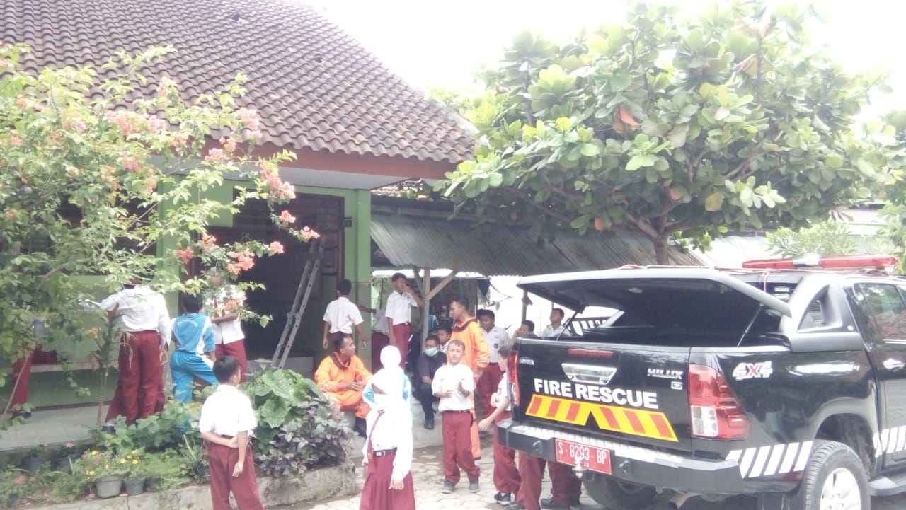 Tidak Nyaman Dalam Belajar, Kepala Sekolah SD Negeri 1 Padang Panggil Damkar Untuk Usir Sarang Kelelawar