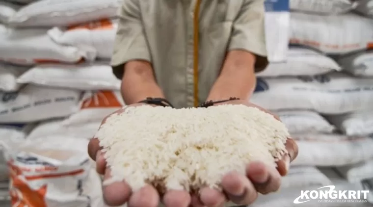 Kabupaten Agam, Daerah Sentra Pangan dengan Surplus Beras 138.613 Ton pada Tahun 2023