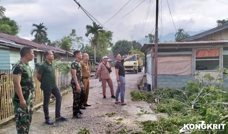 Mengantisipasi Pohon Tumbang, Kodim bersama DLH Kota Solok Lakukan Pemangkasan Pohon
