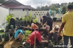 Harga Cabe Merah Melambung, Dinas Pangan Kota Solok Ajak Masyarakat Manfaatkan Pekarangan