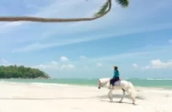 Jelajahi Keindahan Tersembunyi di Desa Pengudang, Mutiara Baru Pulau Bintan. (Foto : Dok. Istimewa)