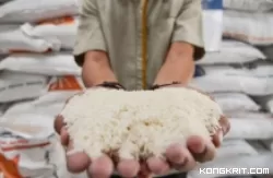 Kabupaten Agam, Daerah Sentra Pangan dengan Surplus Beras 138.613 Ton pada Tahun 2023