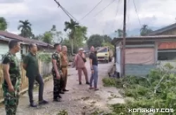 Mengantisipasi Pohon Tumbang, Kodim bersama DLH Kota Solok Lakukan Pemangkasan Pohon