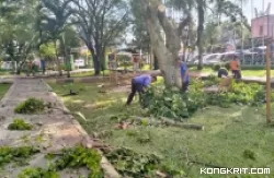 Pemeliharaan Taman Syech Kukut oleh DLH Solok, Keindahan yang Aman dan Nyaman