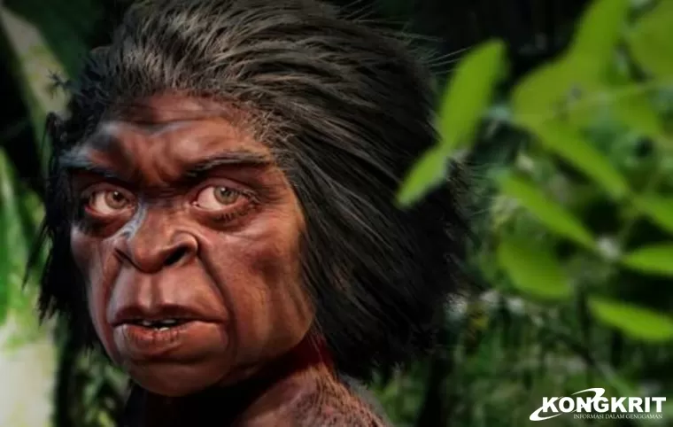 Melacak Legenda Orang Pendek, Cryptid Misterius di Pedalaman Hutan Sumatera. (Foto : Dok. Istimewa)