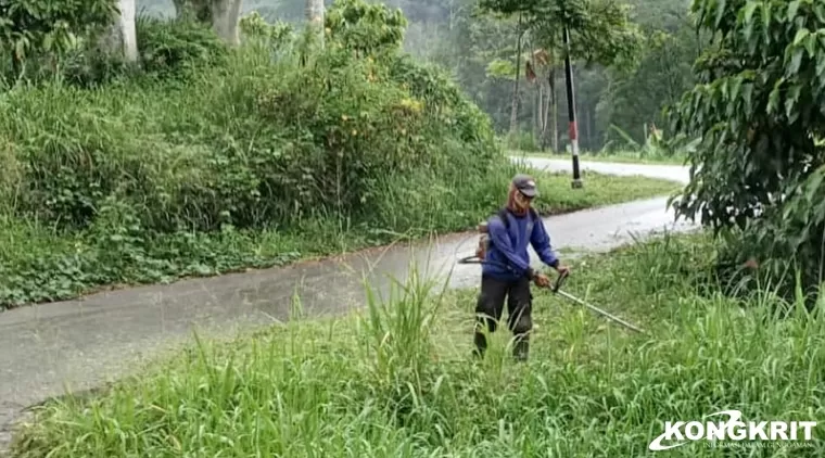 PHL Kota Solok Lakukan Pemangkasan Semak Belukar untuk Memelihara Keindahan Jalan Menuju Payo