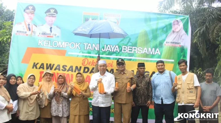 Sinergi Pemerintah dan Petani, Pasaman Barat Deklarasi Daulat Pangan Melalui Panen Raya Jagung