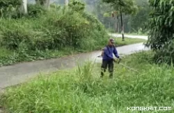 PHL Kota Solok Lakukan Pemangkasan Semak Belukar untuk Memelihara Keindahan Jalan Menuju Payo