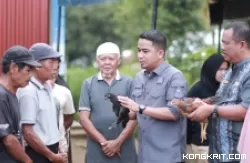 Wawako Serahkan Bantuan Ayam KUB kepada 11 Kelompok Tani di Kota Solok