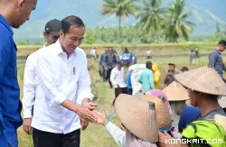 Presiden Jokowi Tinjau Panen Raya di Kabupaten Sigi