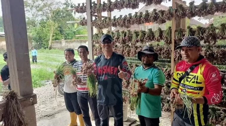 Tinjau Lahan Pertanian, Kajari Pasaman dan Wali Nagari Aia Manggih Selatan Apresiasi Kelompok Tani Canggang