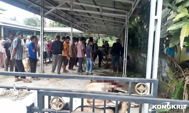 Meski Berbeda Merayakan Hari Raya Idul Adha, Masyarakat Sijunjung Tetap Rukun dan Damai