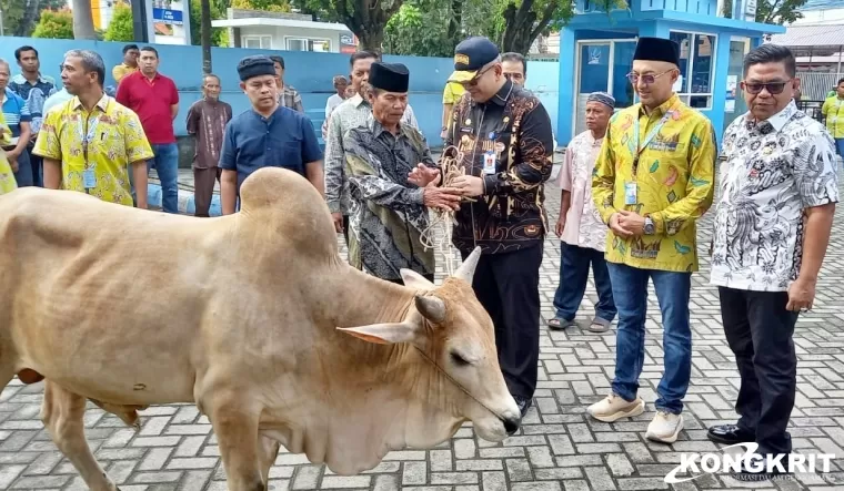 PDAM Kota Padang Serahkan 89 Ekor Hewan Kurban, Andree Algamar Beri Apresiasi