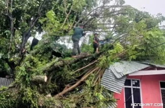7 Kecamatan di Kota Padang Dilanda Pohon Tumbang dan Angin Puting Beliung