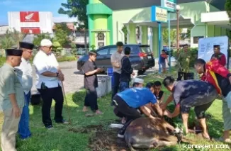 Berkurban di Masjid Agung Nurul Iman, Andree Algamar 8.047 Hewan Kurban Telah Disembelih di Kota Padang