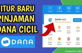 Pahami Ini Dulu, Sebelum Pinjam Uang di Dana Cicil. (Foto : Dok. Istimewa)