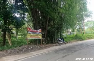 Pemko Padang Tertibkan 62 TPS Liar untuk Wujudkan Kota Bebas Sampah