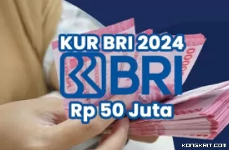 Mau Tahu Cara Pinjam Rp 50 Juta di KUR BRI dengan Bunga 0,2 Persen? Yuk Baca Disini! (Foto : Dok. Istimewa)