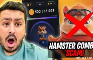 Rusia Himbau Pemblokiran Hamster Combat, Bagaimana Nasib Para Penambang Crypto? (Foto : Dok. Istimewa)