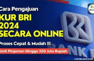 Tak Perlu ke Bank! Ini Cara Ajukan KUR BRI 2024 Lewat HP. (Foto : Dok. Istimewa)