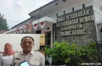 Kepala Disnakkeswan Kabupaten Tulungagung, Mulyanto didampingi Kabid Kesehatan Hewan, drh. Tutus Sumaryani