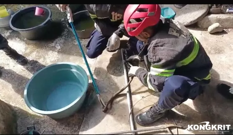 Warga Temukan Ular di Bak Mandi, Call Center 112 Kota Padang Tanggapi Cepat Laporan Warga