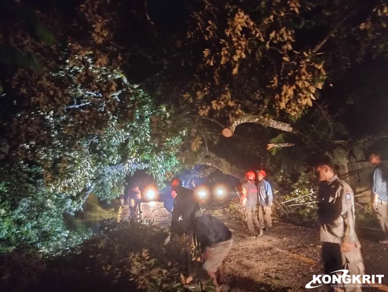 Cuaca Ekstrem Sebabkan 34 Titik Bencana di Kota Padang, BPBD Bergerak Cepat Tangani Dampak