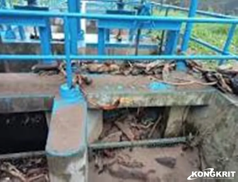 Hujan Lebat di Kota Padang Ganggu Produksi Air Bersih, Perumda AM Padang Imbau Pelanggan Menyimpan Air