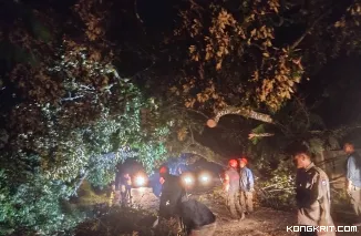 Cuaca Ekstrem Sebabkan 34 Titik Bencana di Kota Padang, BPBD Bergerak Cepat Tangani Dampak