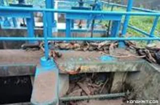 Hujan Lebat di Kota Padang Ganggu Produksi Air Bersih, Perumda AM Padang Imbau Pelanggan Menyimpan Air