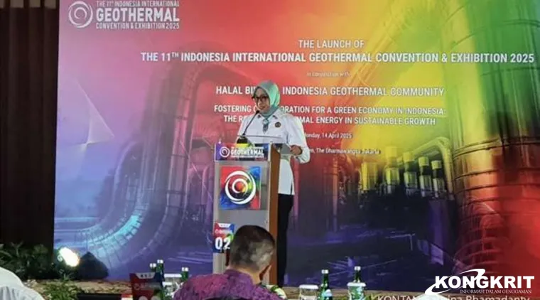 Kementerian ESDM Dorong Flores Jadi Pulau Panas Bumi, Hadapi Tantangan Sosial dan Lingkungan
