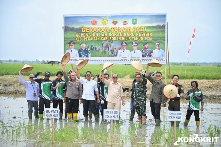 Wabup Rokan Hilir Tinjau Kilang Padi di Rokan Baru, Dorong Revitalisasi untuk Perkuat Ketahanan Pangan