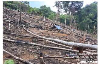 Diduga Buka dan Bakar Hutan Ulayat Tanpa Izin, Warga Laporkan Pelaku Terduga ke Polres Pesisir Selatan
