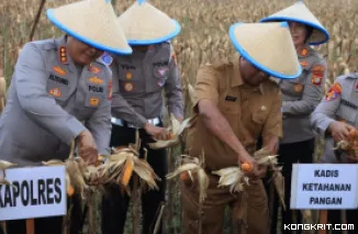 Kapolres Metro Bekasi Kota Gelar Panen Raya Jagung Tahap 2 di Mustikasari untuk Perkuat Ketahanan Pangan