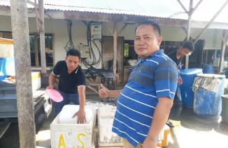 Pengusaha Lokal di Pesisir Selatan Sukses Kembangkan Budidaya Udang Vaname