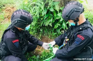 Warga Pesisir Selatan Temukan Mortir Aktif Saat Mencari Batu di Sungai